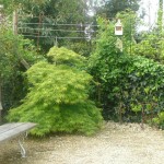 petit jardin clos à concarneau