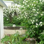 petit jardin clos à concarneau