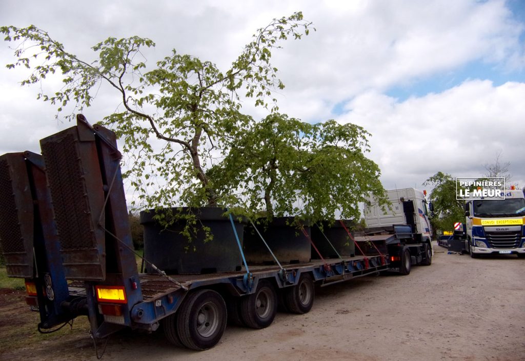 transport06-charmes-lemeur_1200