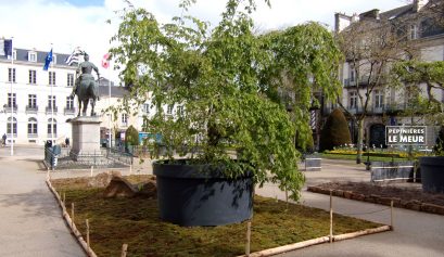 jardins éphémeres de vannes 2017 bétulus, pépinières le meur