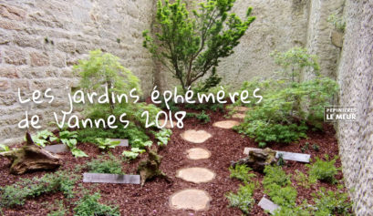 jardins éphémères de vannes 2018 pépinières le meur