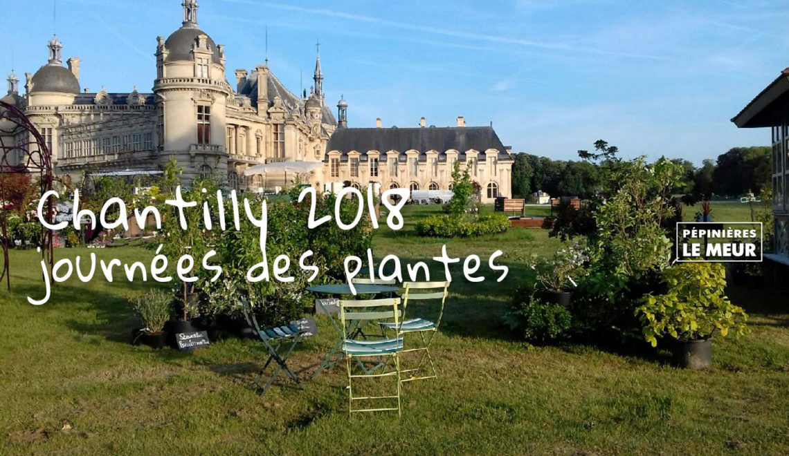 Chantilly 2018, journée des plantes Pépinières le Meur