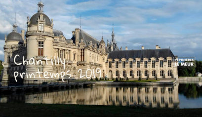 Chantilly Pépinières Le Meur printemps 2019