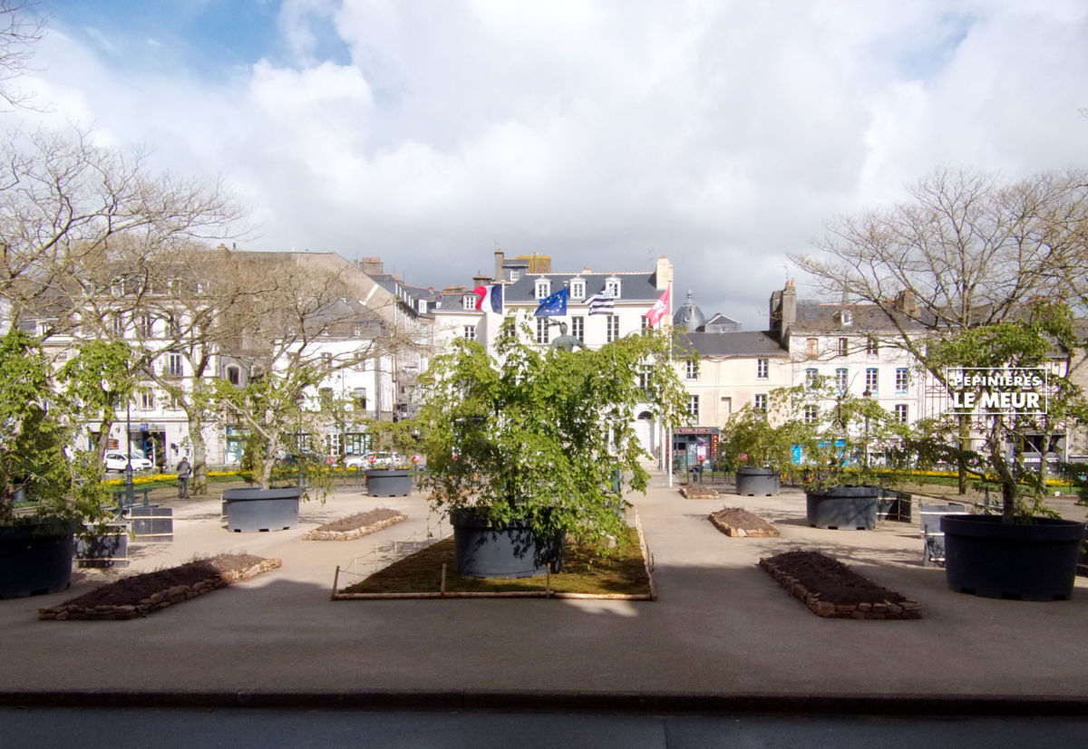 jardins éphémeres de vannes 2017 bétulus, pépinières le meur