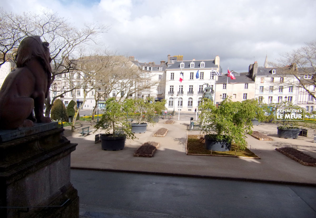 jardins éphémeres de vannes 2017 bétulus, pépinières le meur