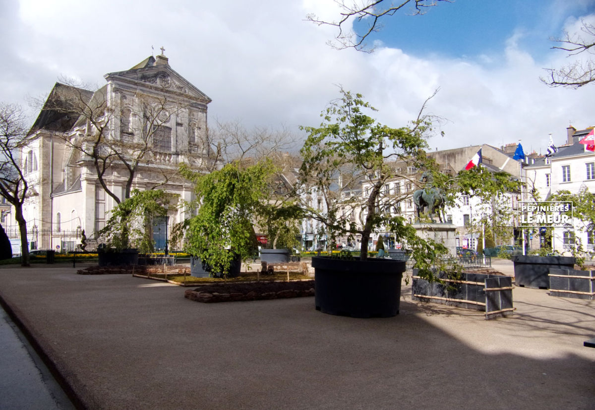 jardins éphémeres de vannes 2017 bétulus, pépinières le meur