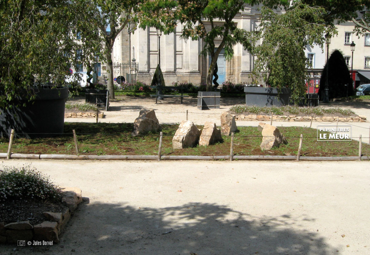 jardins éphémeres de vannes 2017 carpinus bétulus, pépinières le meur