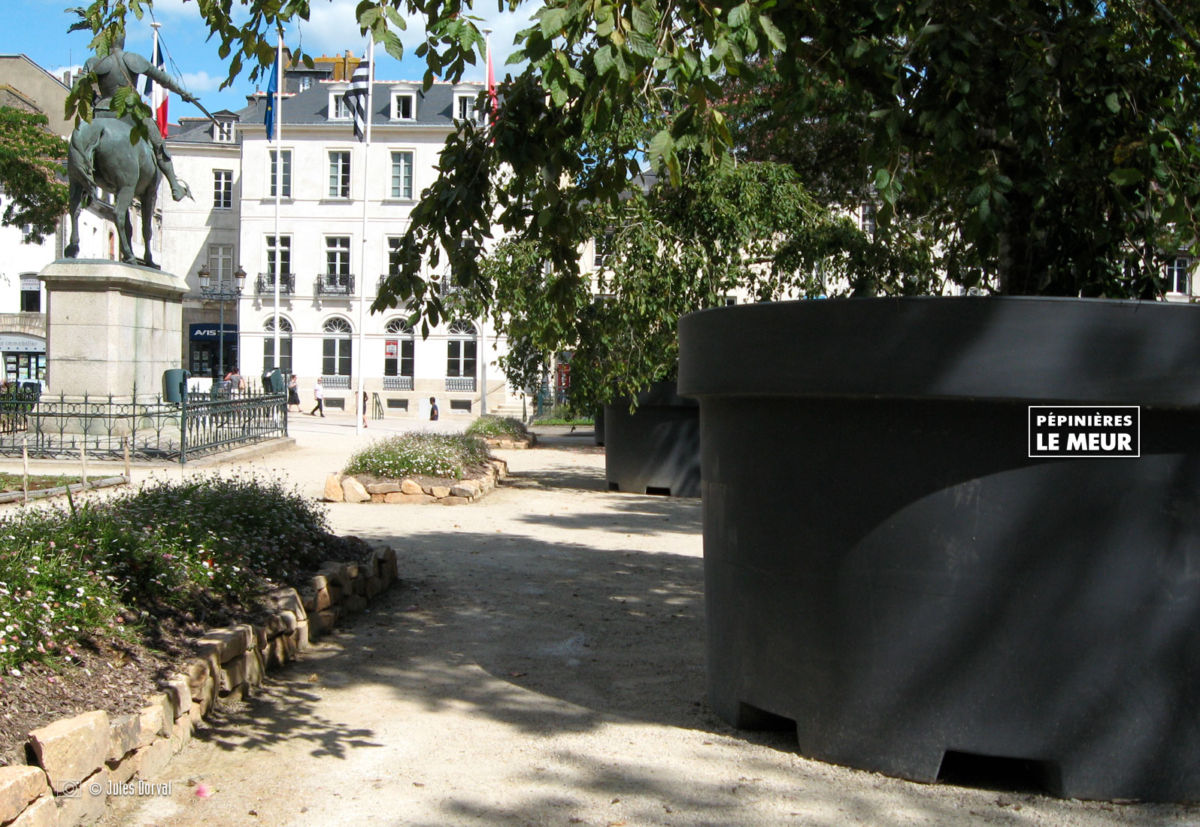 jardins éphémeres de vannes 2017 carpinus bétulus, pépinières le meur