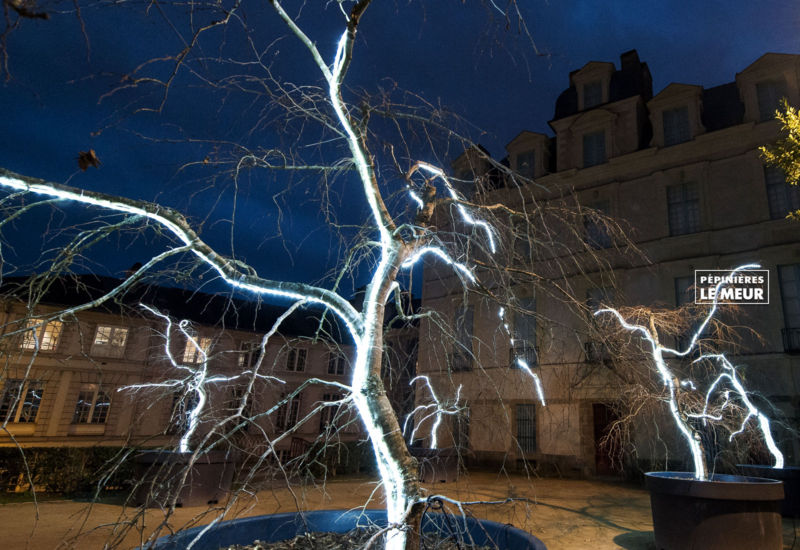 Charmes, Noël Vannes, Pépinières le Meur