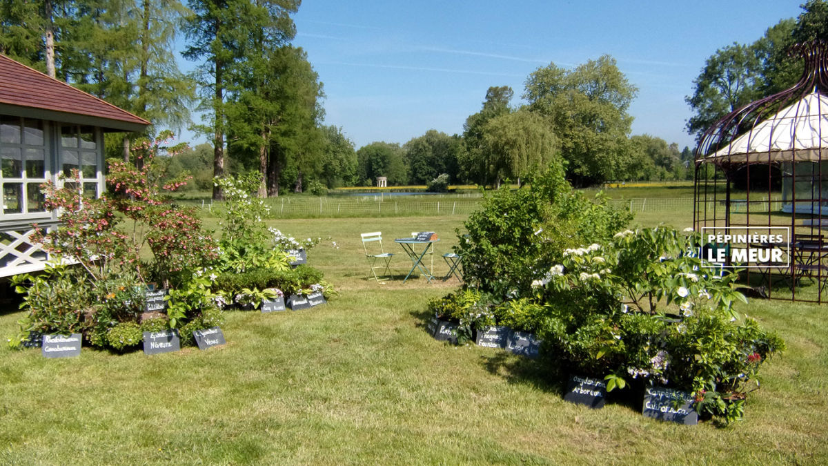 Chantilly 2018, journée des plantes Pépinières le Meur