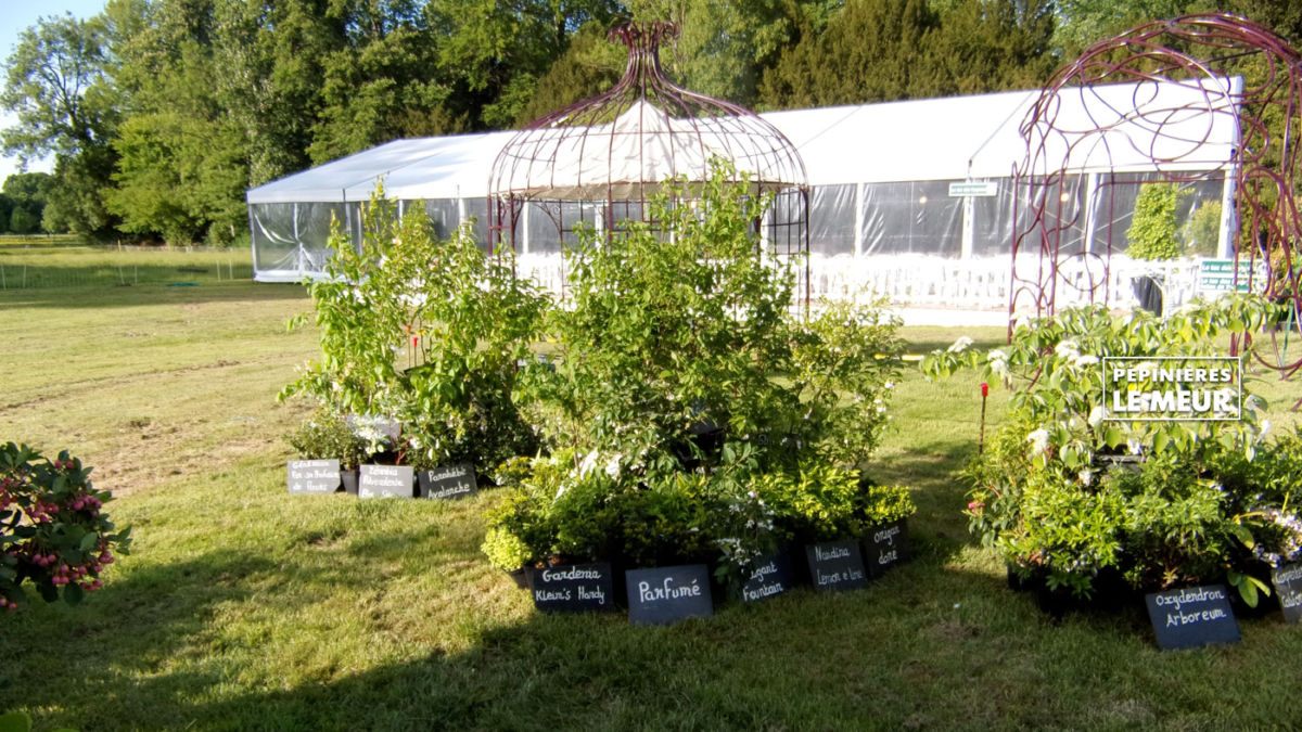 Chantilly 2018, journée des plantes Pépinières le Meur